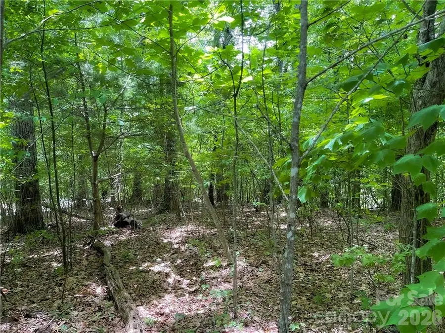 L-36 Saint Moritz Lane #Lot 36, Spruce Pine, NC 28749 - #3
