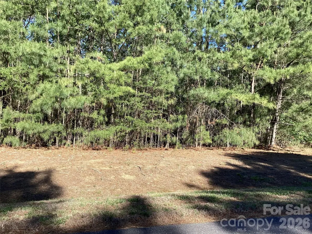 307 Twin Cove Drive #125, Connelly Springs, NC 28612 - #1