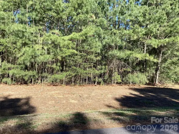 307 Twin Cove Drive #125, Connelly Springs, NC 28612