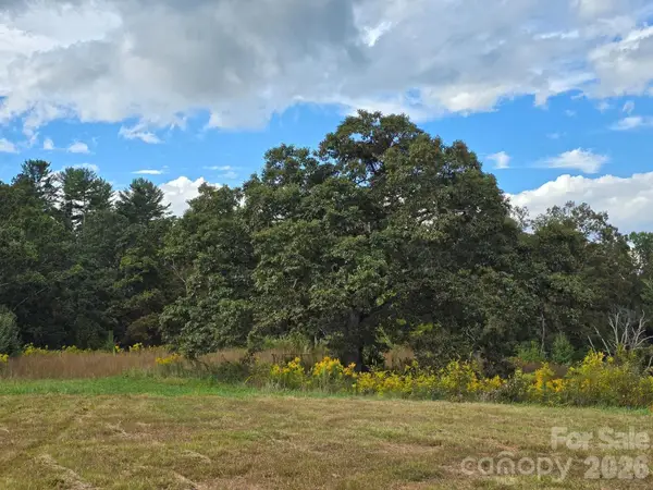 000 Cook Lane #24.87 Acres, Mills River, NC 28759