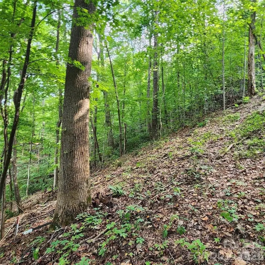 0 Switchback Road, Lake Lure, NC 28746 - #2