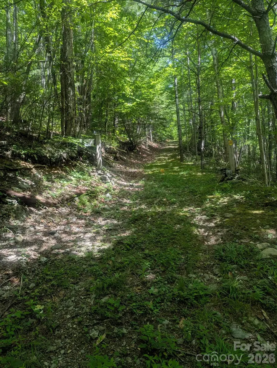 1662 Penley Road, Lenoir, NC 28645 - #2