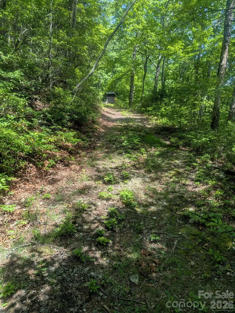 1662 Penley Road, Lenoir, NC 28645 - #3