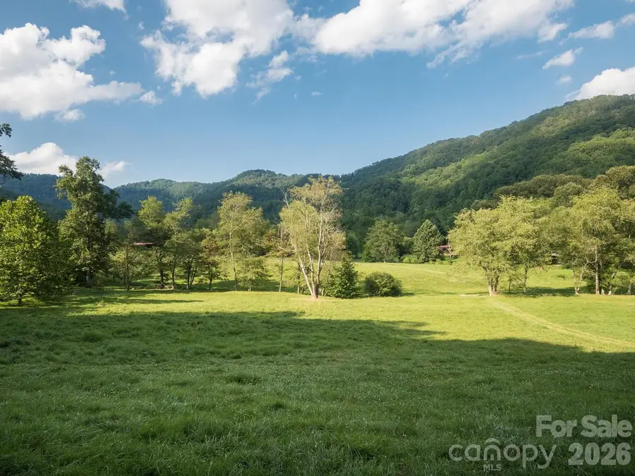 741 Morrow Branch Road, Leicester, NC 28748 - #3