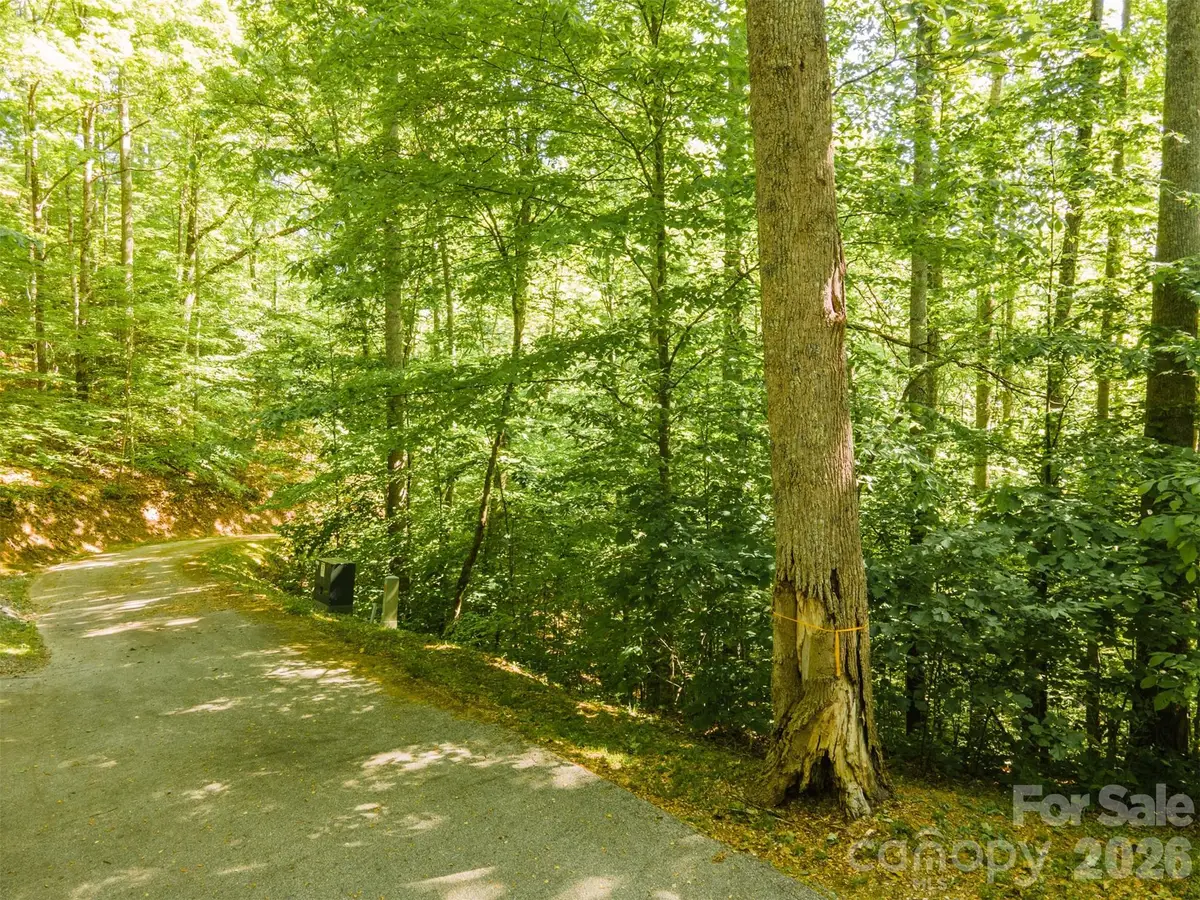 52 Morningside Drive #52, Tuckasegee, NC 28783 - #1