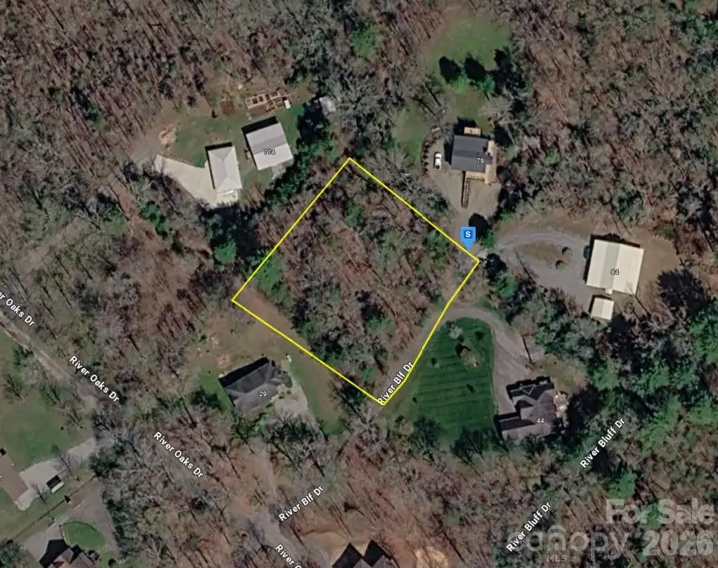 45 River Bluff Drive, Hayesville, NC 28904 - #1