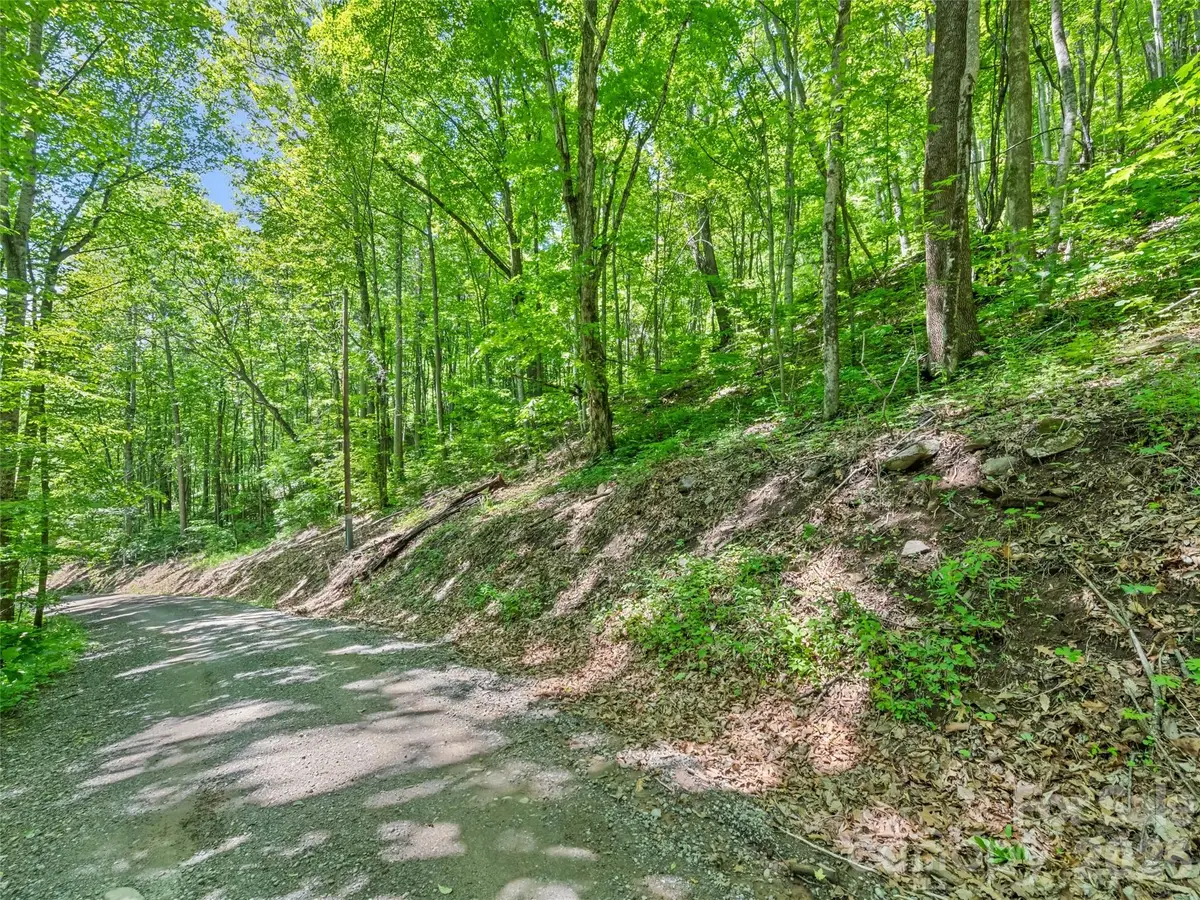 00 Rustic Road, Waynesville, NC 28786 - #1