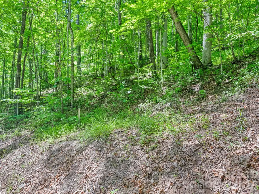 00 Rustic Road, Waynesville, NC 28786 - #2