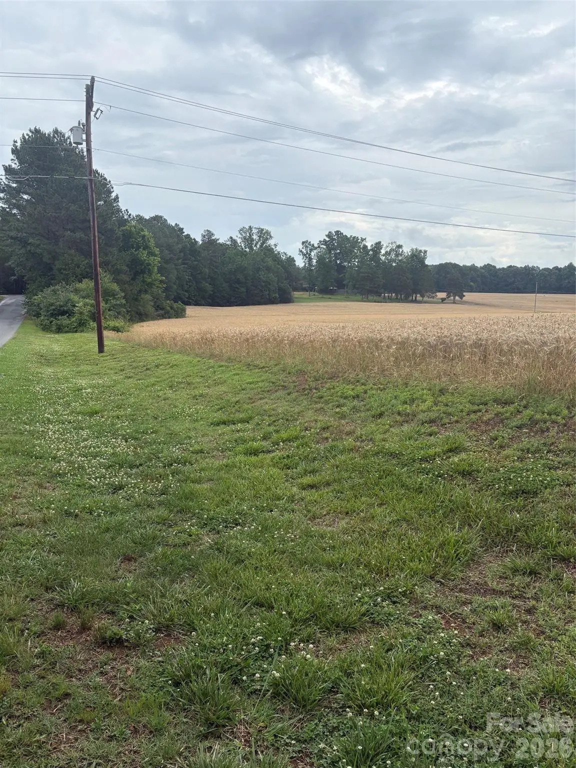 3434 Morgan Mill Road, Monroe, NC 28110 - #1
