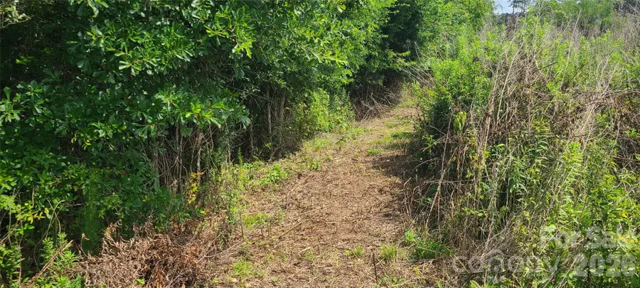 0000 Blackwelder Road, Indian Land, SC 29707 - #2