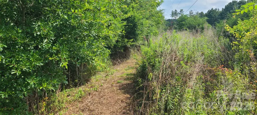 0000 Blackwelder Road, Indian Land, SC 29707 - #3