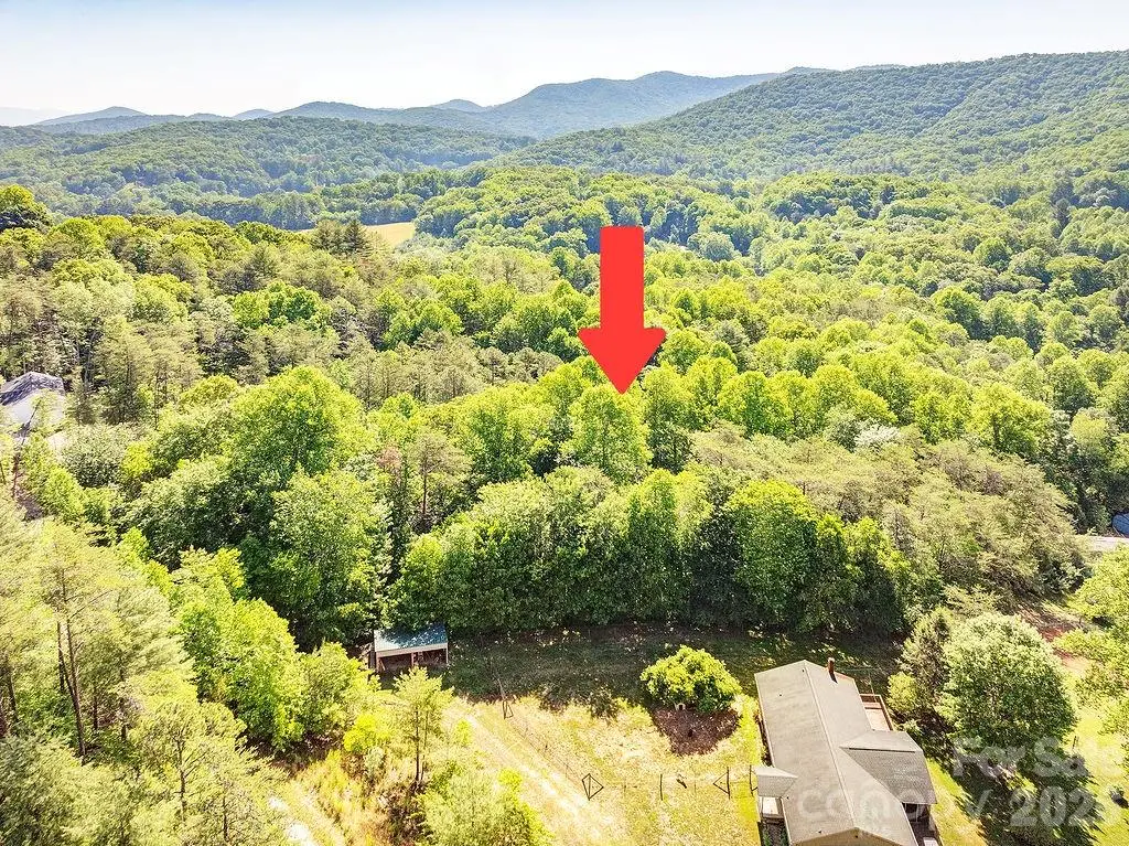 99999 Suddreth Lane, Candler, NC 28715 - #1