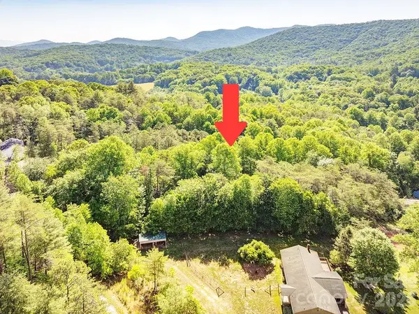 99999 Suddreth Lane, Candler, NC 28715