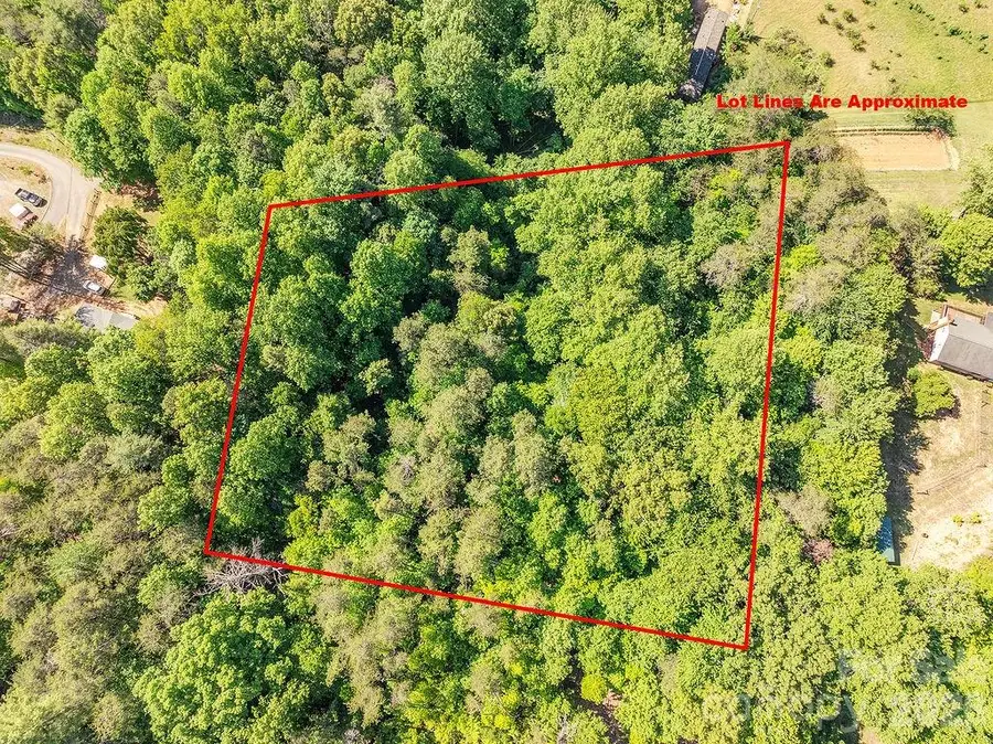99999 Suddreth Lane, Candler, NC 28715 - #2
