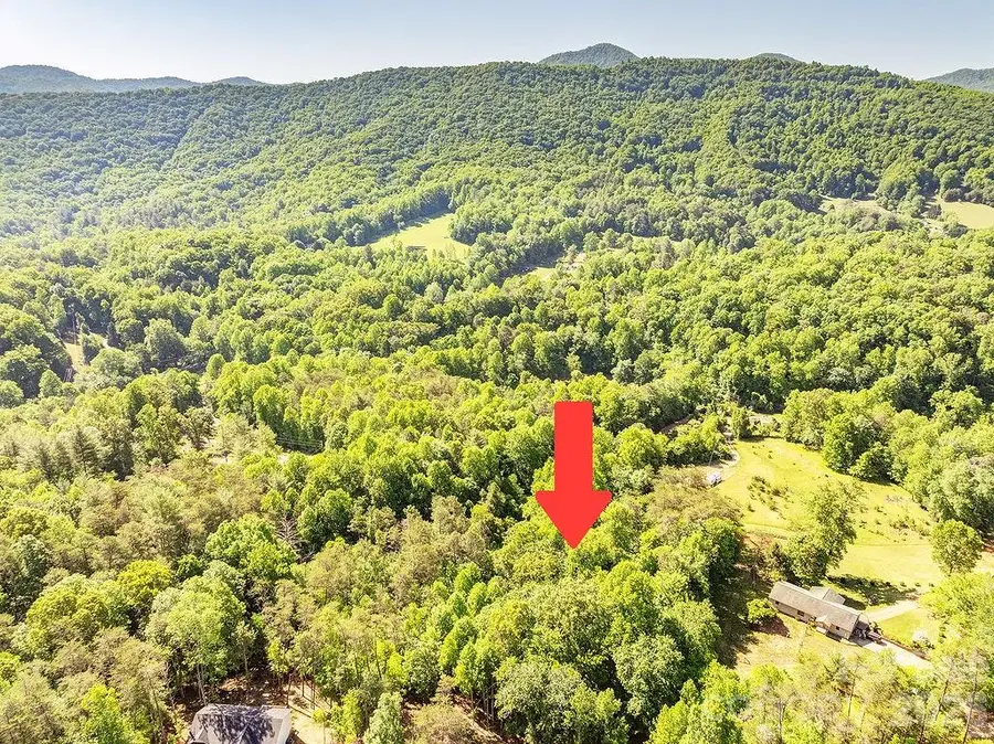 99999 Suddreth Lane, Candler, NC 28715 - #3