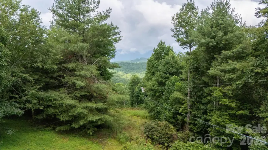 572 Blue Ridge Gem Stone Road, Spruce Pine, NC 28777 - #2