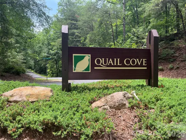 155 Quail Cove Boulevard #1608, Lake Lure, NC 28746