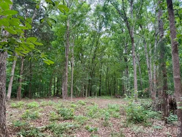 800 Pilgrim Forest Drive, Monroe, NC 28110 - #3