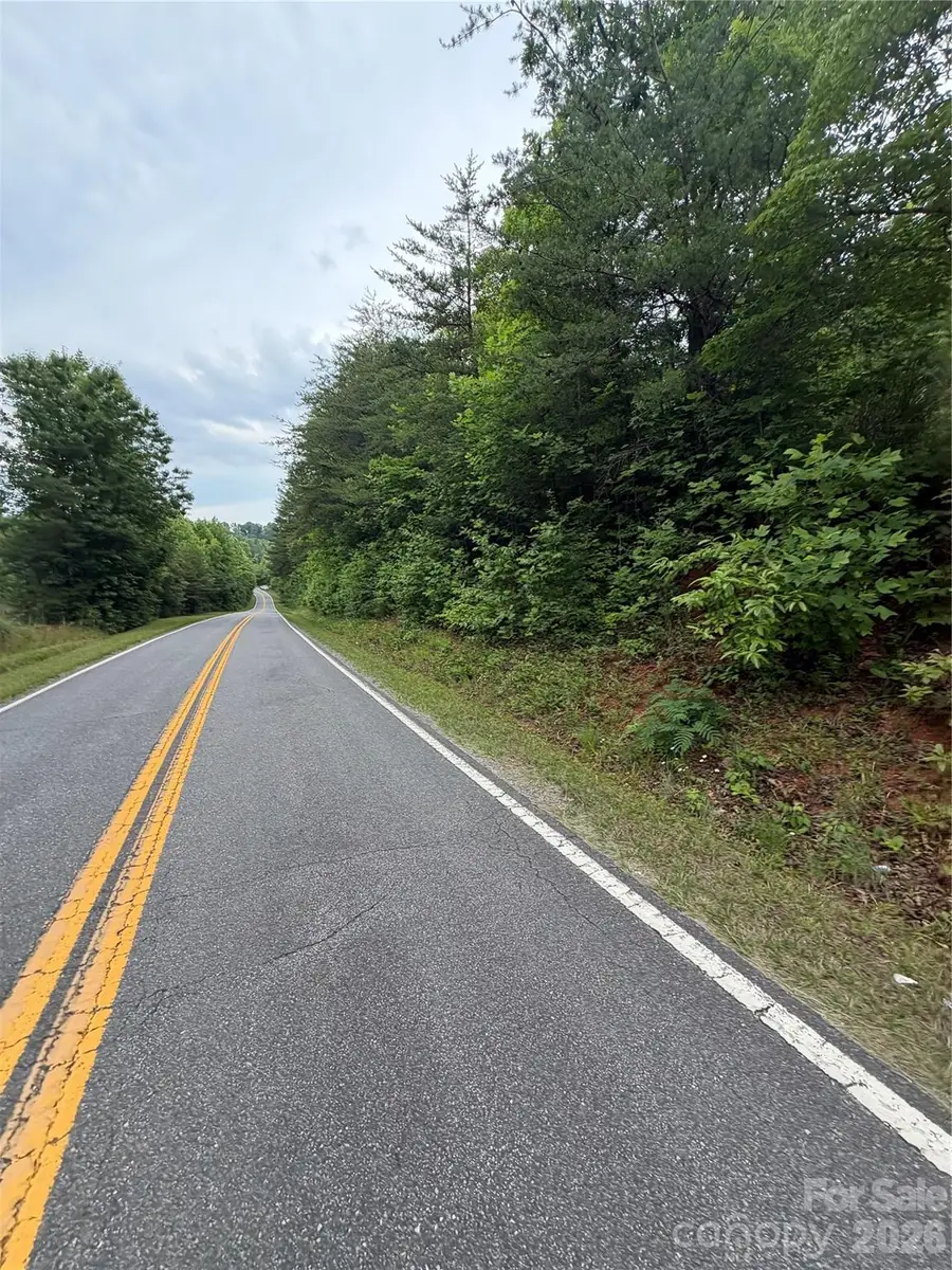 Lot 9 Parker Padgett Road, Old Fort, NC 28762 - #3
