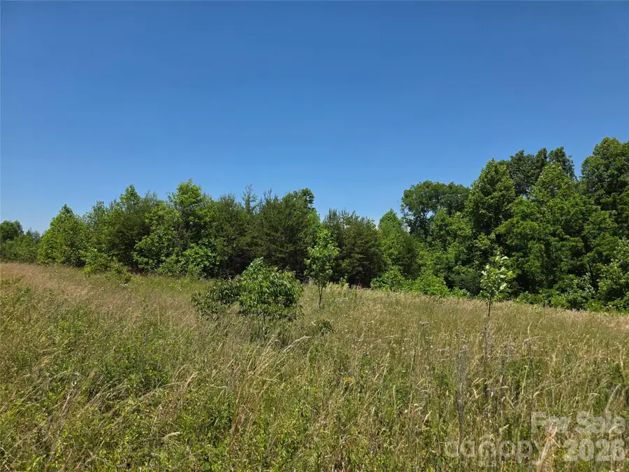 0 Moir Farm Road, Lawsonville, NC 27022 - #2