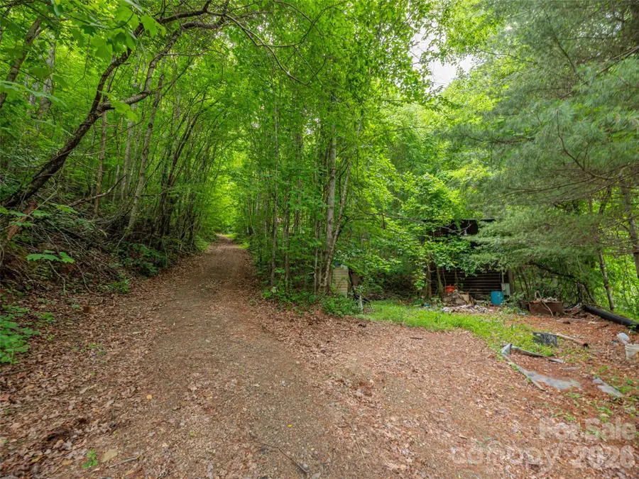 68 Long Ridge Road, Candler, NC 28715 - #2
