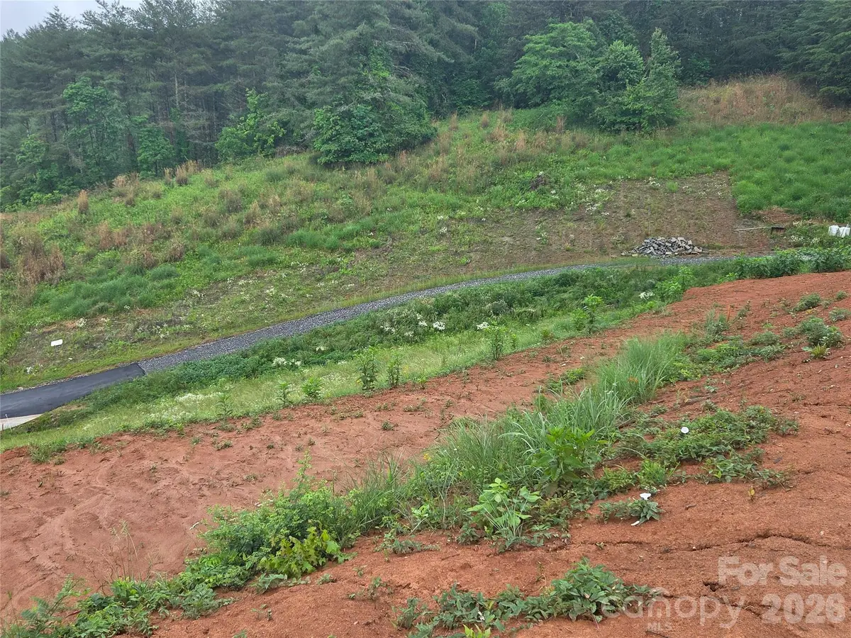 248 Big Branch Drive #2B, Mars Hill, NC 28754 - #1