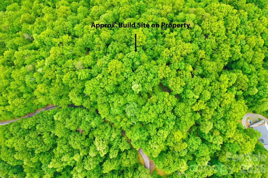 215 Laurel Mountain Trail #10, Black Mountain, NC 28711 - #3
