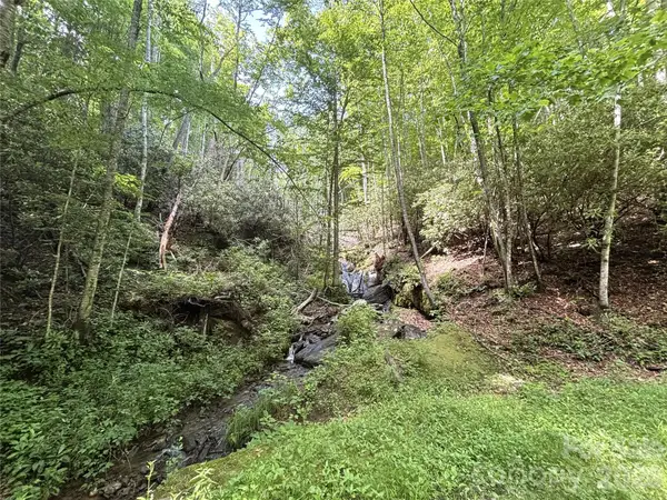 000 Valley View Drive, Maggie Valley, NC 28751