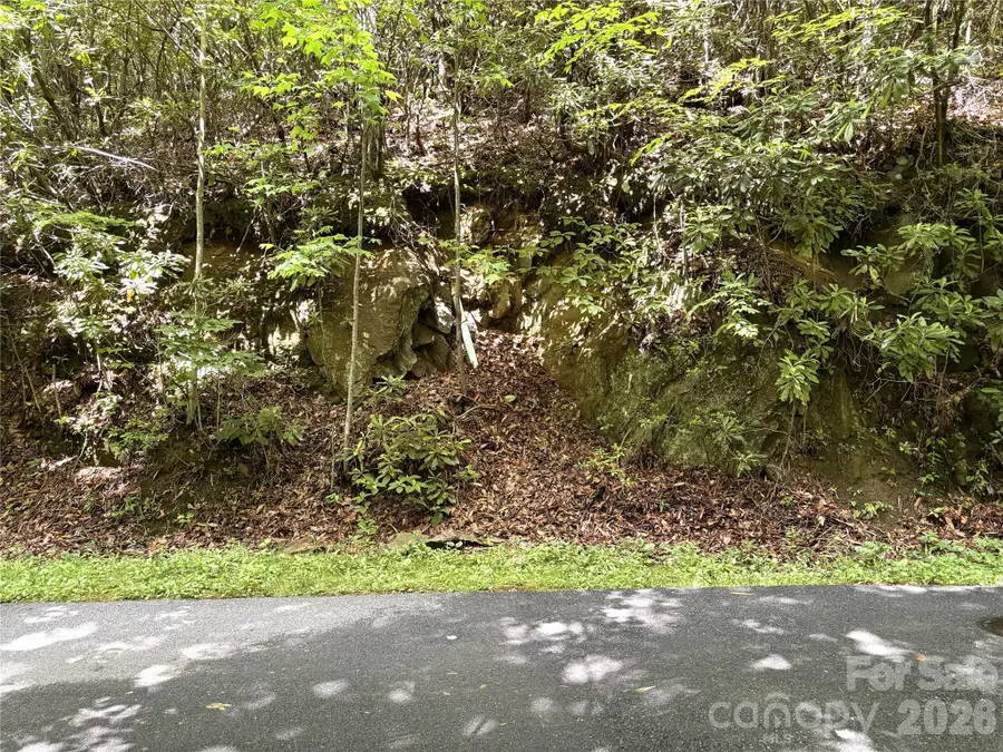 000 Valley View Drive, Maggie Valley, NC 28751 - #3