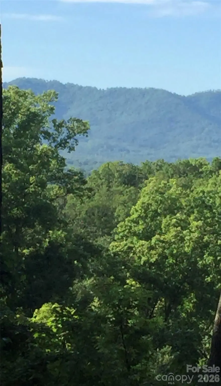 20 Lagrange Drive, Asheville, NC 28805 - #2