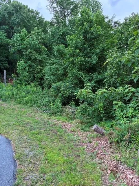 97 Devin Ridge Lane #97, Union Mills, NC 28167 - #1
