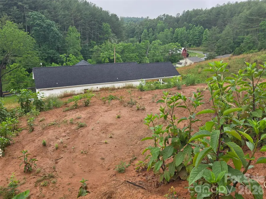 292 Big Branch Drive #2C, Mars Hill, NC 28754 - #3