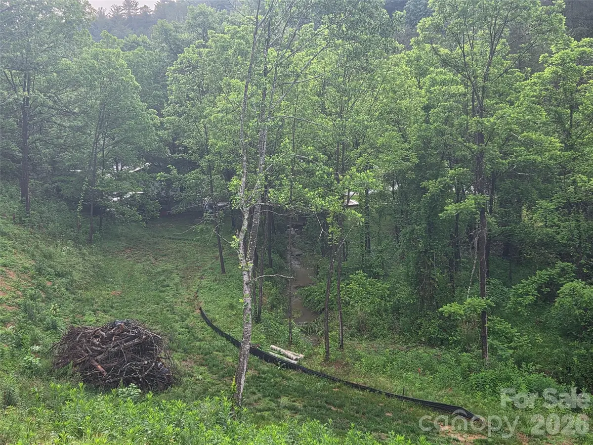374 Big Branch Drive #Lot 2 D, Mars Hill, NC 28754 - #1