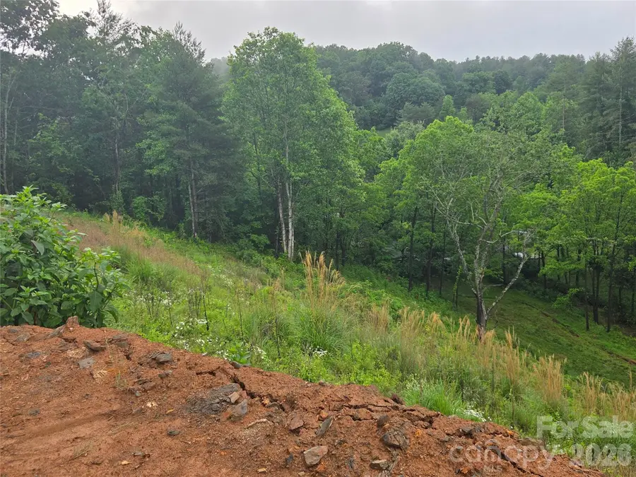 374 Big Branch Drive #Lot 2 D, Mars Hill, NC 28754 - #2