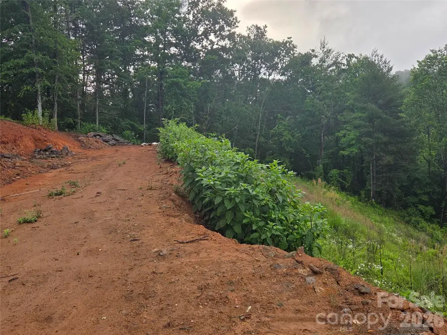 374 Big Branch Drive #Lot 2 D, Mars Hill, NC 28754 - #3