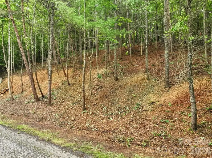 Lot 29 Hampton Lane, Weaverville, NC 28787 - #3