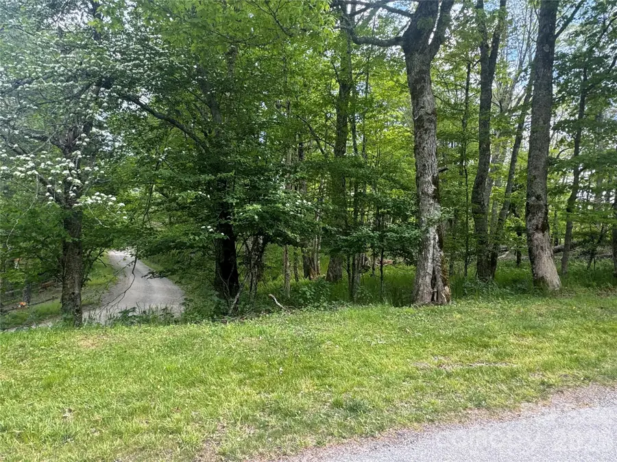 1026 Wolfs Head Court, Mars Hill, NC 28754 - #3