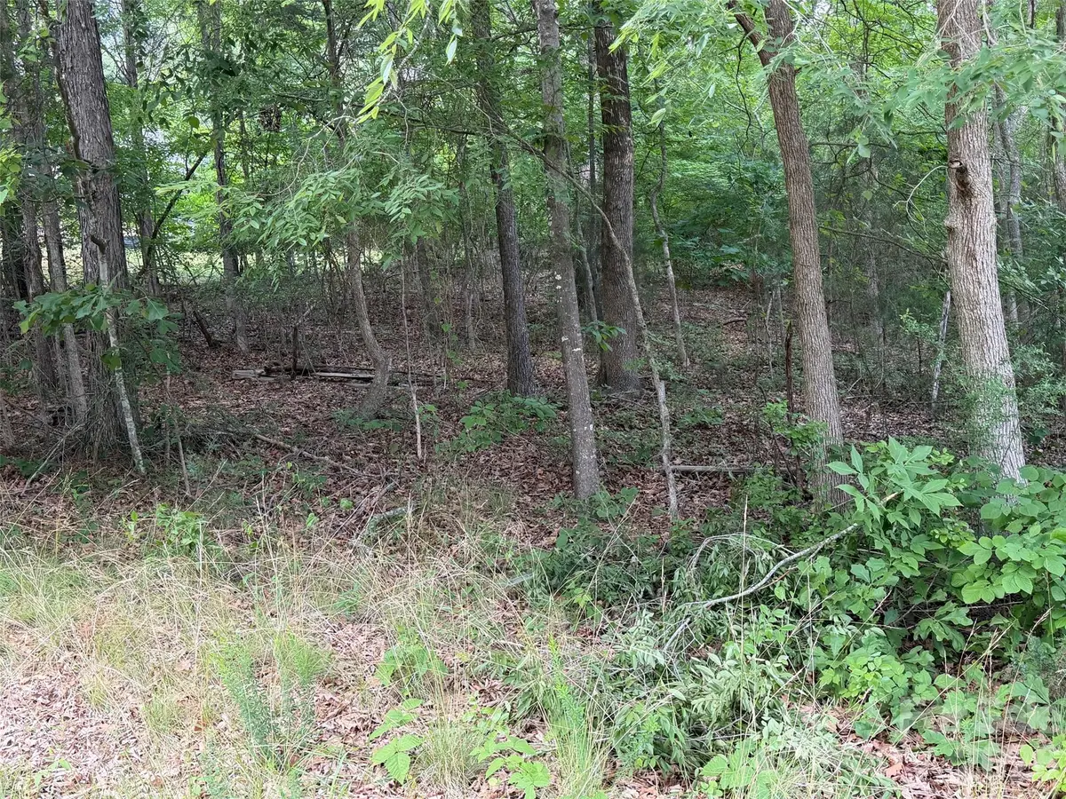 00 Imperial Way #15, Albemarle, NC 28001 - #1