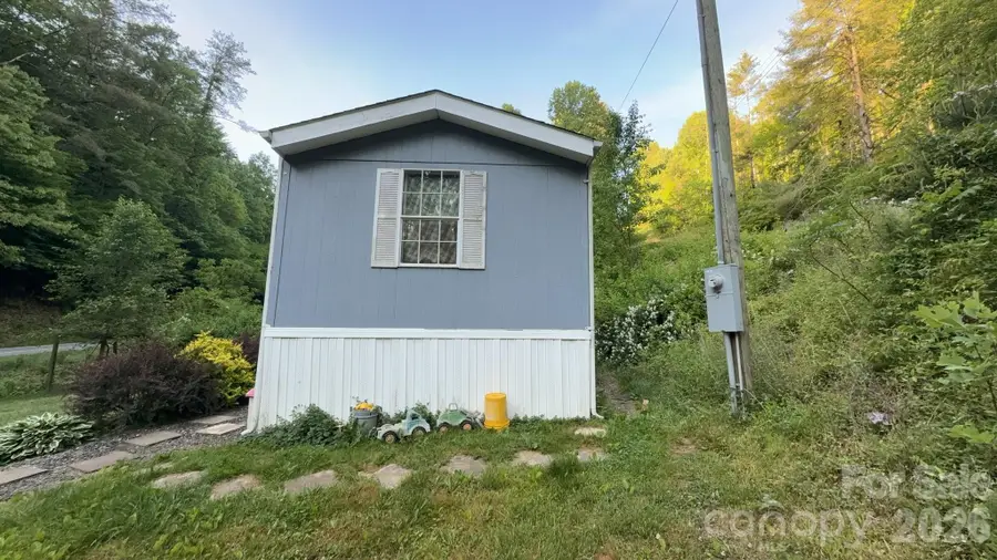 468 Long Branch Road, Green Mountain, NC 28740 - #3