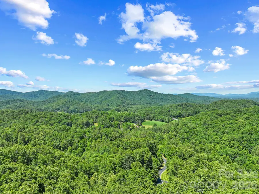 472 Mills River Way, Horse Shoe, NC 28742 - #2