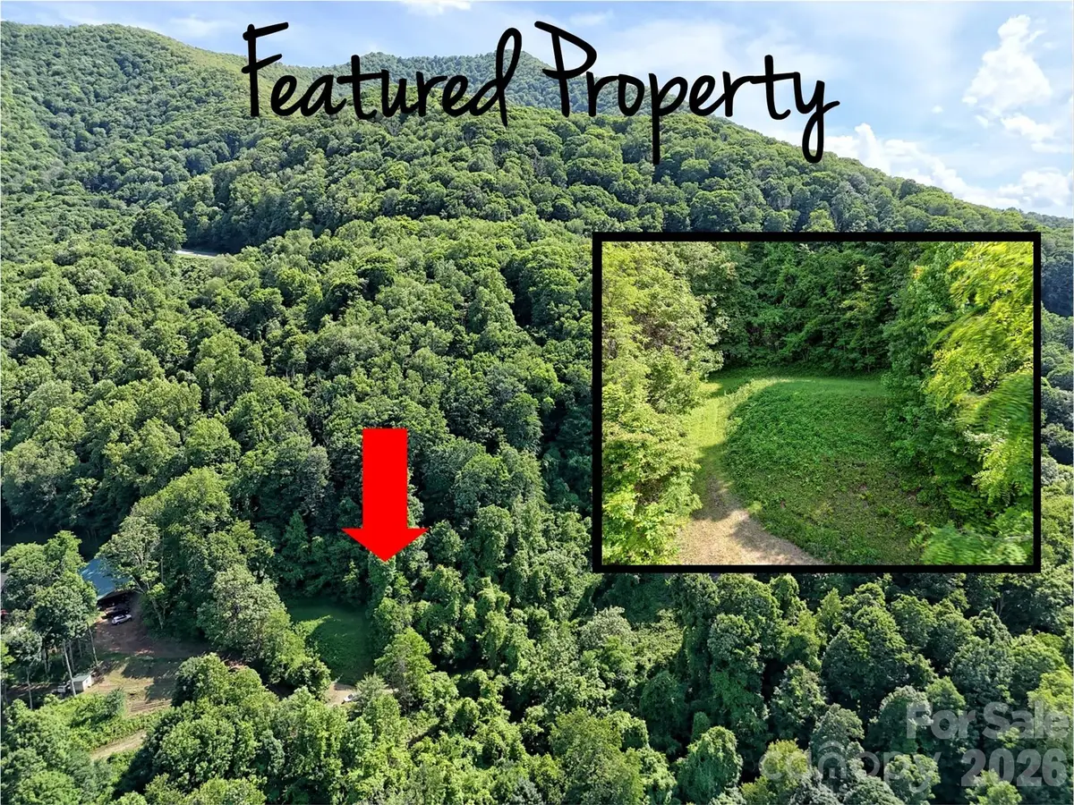 Lot 402 Malin Trail, Waynesville, NC 28786 - #1