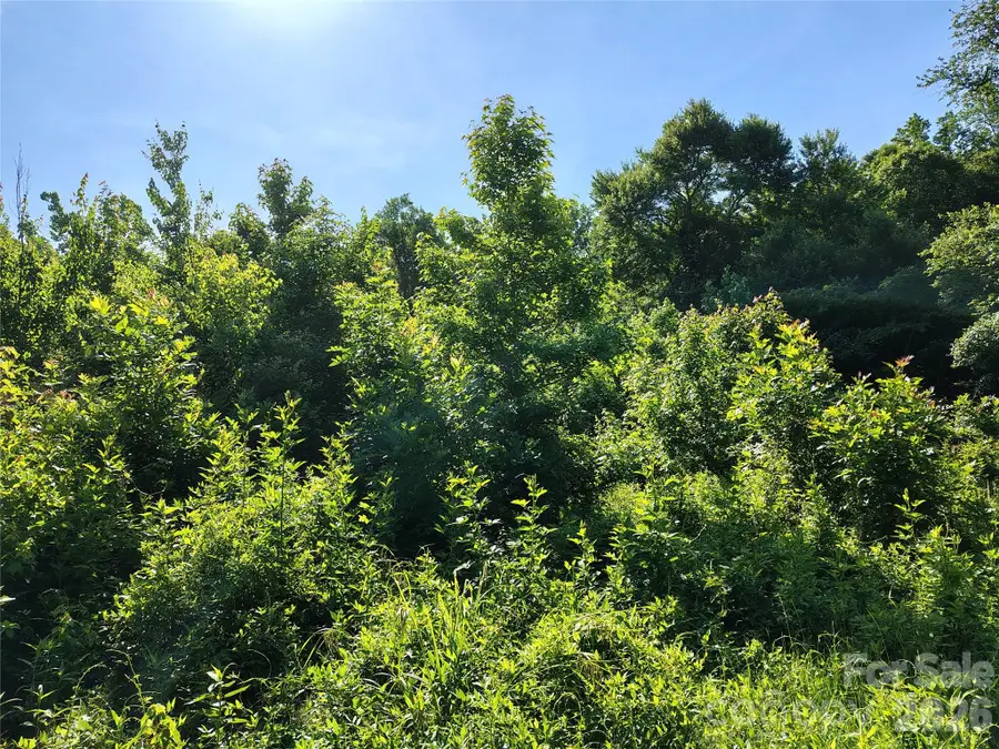 6385 Glenn Teague Road, Charlotte, NC 28216 - #2