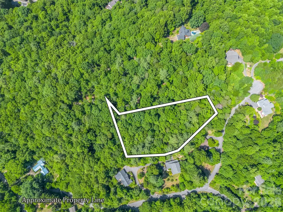 21 Wits End Trail, Swannanoa, NC 28778 - #3