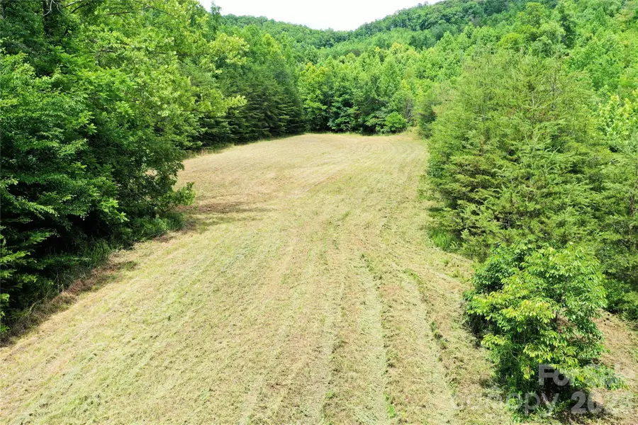 00 Club House Road, Lake Lure, NC 28746 - #2