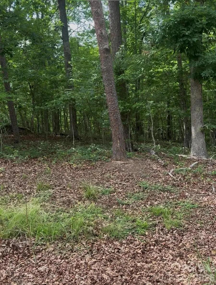 000 Acorn Acres Road, Norwood, NC 28128 - #2