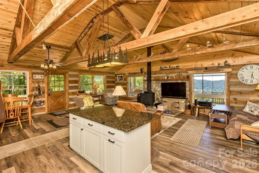 1059 Setzer Cove Road, Maggie Valley, NC 28751 - #3
