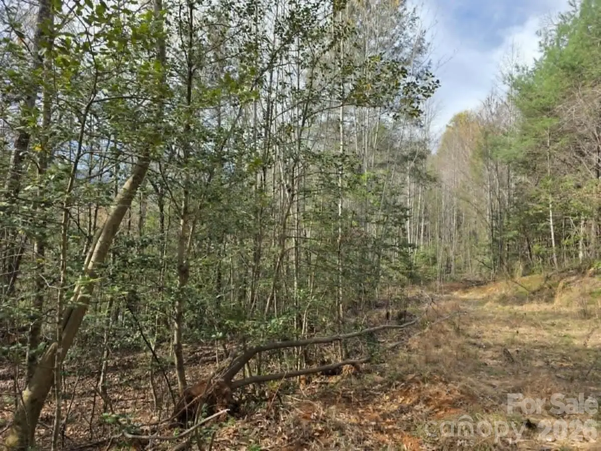 Lot 5 Kerlee Lane, Old Fort, NC 28762 - #1
