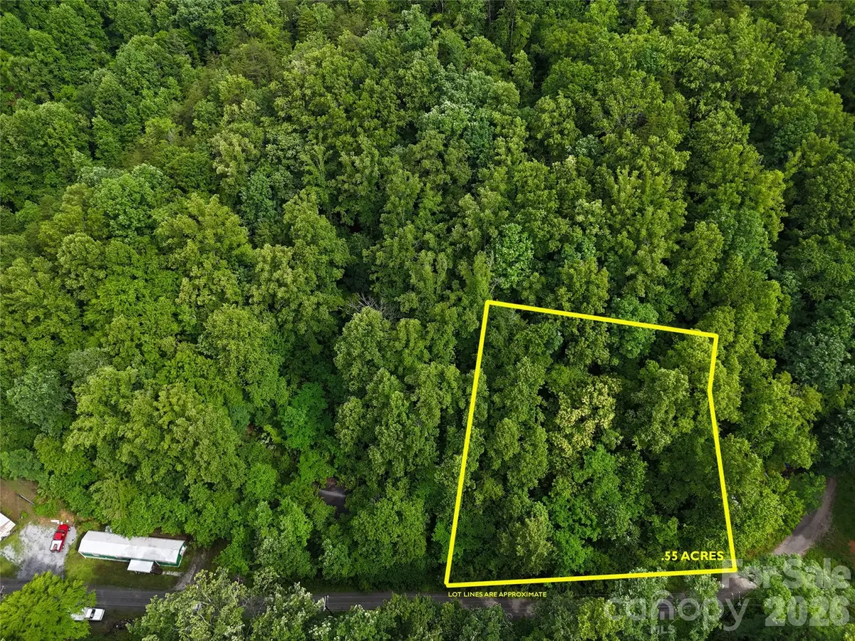 137 Shanty Town Road, Old Fort, NC 28762 - #1