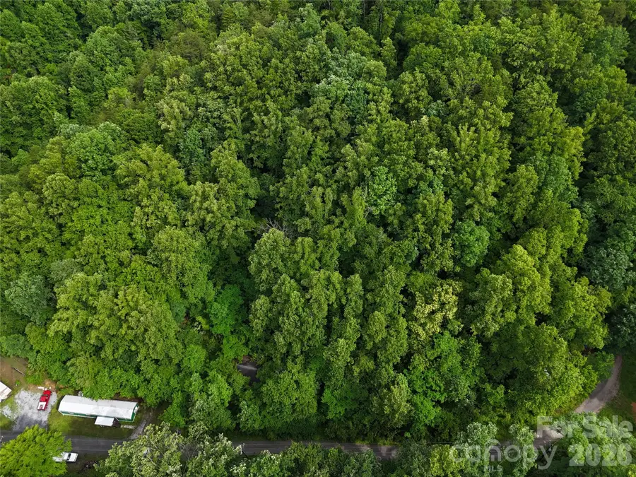 137 Shanty Town Road, Old Fort, NC 28762 - #3