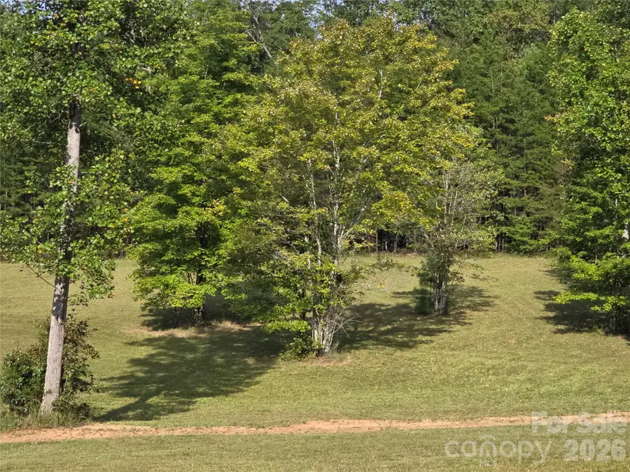 1696 Old Cc Road, Rutherfordton, NC 28139 - #2